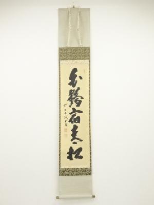 前大徳藤井誡堂筆　「白鶴宿青松」一行書　肉筆紙本掛軸